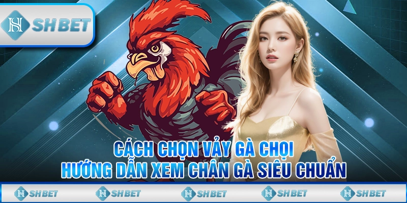 Cách Chọn Vảy Gà Chọi - Hướng Dẫn Xem Chân Gà Siêu Chuẩn