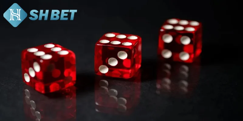 Giới thiệu vài nét thông tin sơ lược về cách lắc tài xỉu