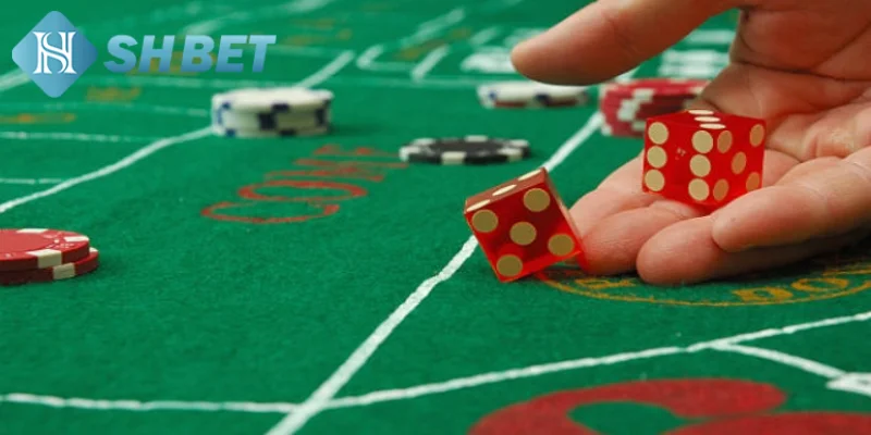 Tổng hợp các phương pháp lắc tài xỉu được ưa chuộng