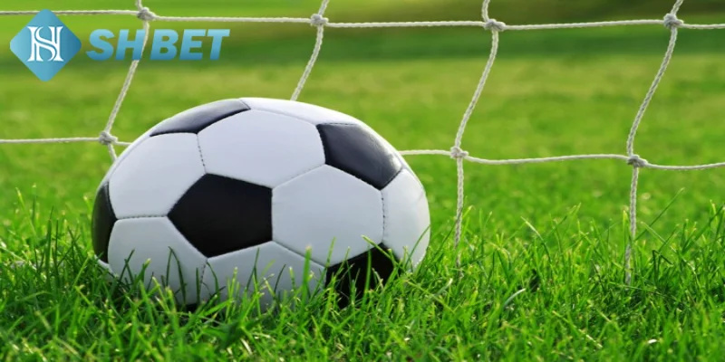 Hướng dẫn chi tiết cách đọc kèo cược đồng banh nửa trái