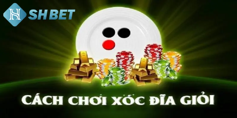 Chiến lược chơi xóc đĩa online giành chiến thắng lớn