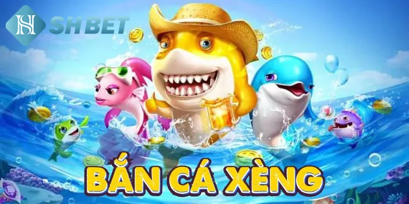 Hướng dẫn chi tiết luật săn cá xèng cho thành viên mới