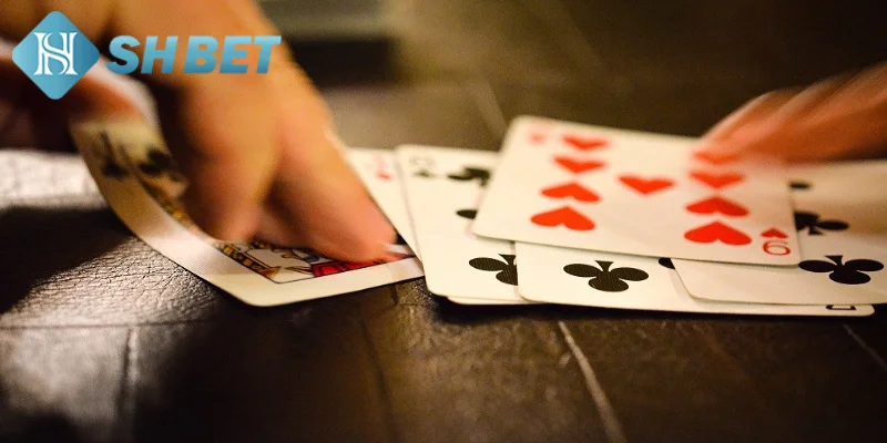 Bật mí các bí quyết đánh phỏm cực đỉnh từ chuyên gia