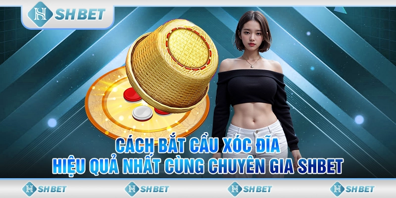 Cách Bắt Cầu Xóc Đĩa Hiệu Quả Nhất Cùng Chuyên Gia SHBET