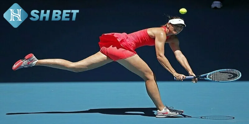 Các kèo cược quần vợt được nhiều thành viên ưa chuộng