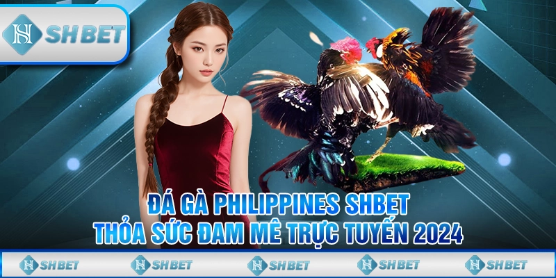 Đá Gà Philippines SHBET - Thỏa Sức Đam Mê Trực Tuyến 2024
