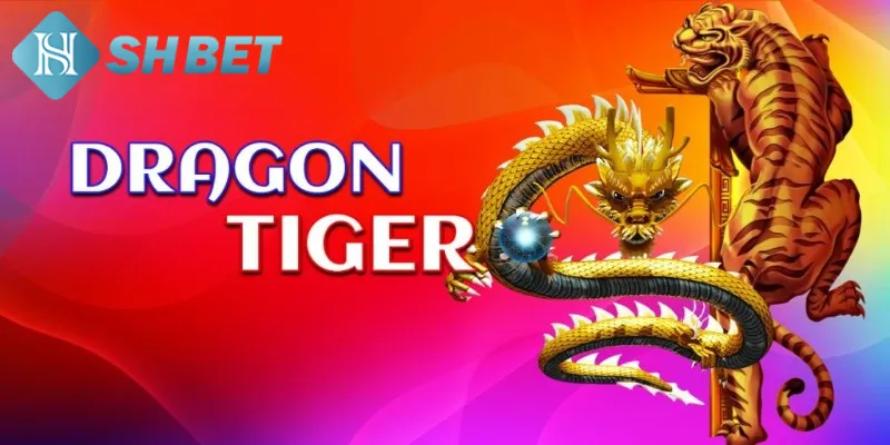 Một vài lưu ý cần biết khi tham gia trải nghiệm rồng hổ