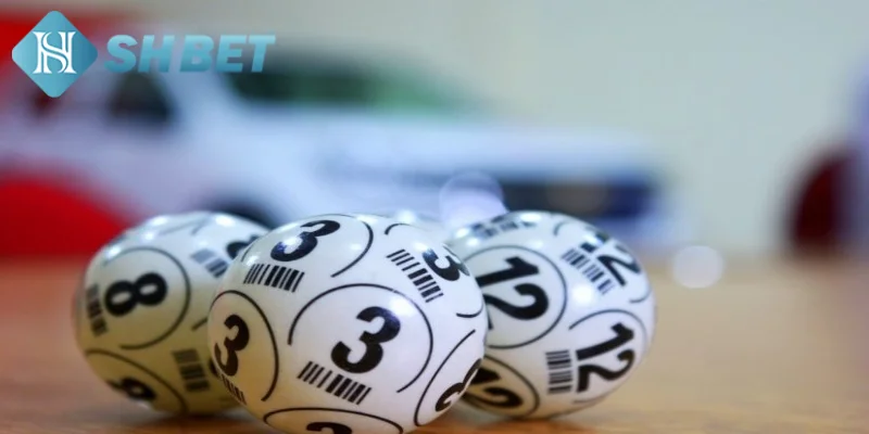 Tìm hiểu một vài thông tin khái quát về lô gan miền Trung