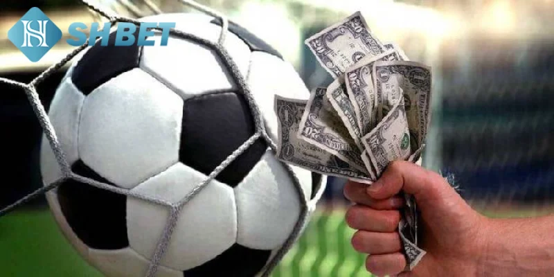 Bật mí mẹo nhận định các loại kèo nhà cái hiệu quả