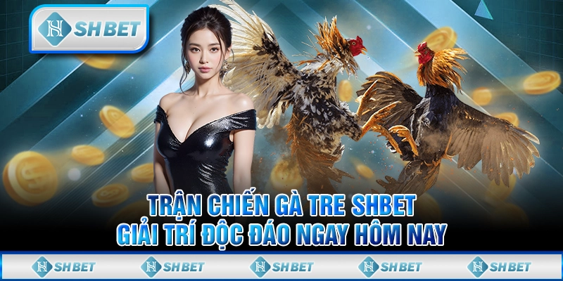 Trận Chiến Gà Tre SHBET - Giải Trí Độc Đáo Ngay Hôm Nay