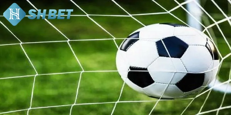 Giới thiệu vài nét tổng quan về tỷ lệ kèo nhà cái