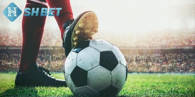 Một số tỷ lệ kèo quen thuộc trong bóng đá tại nhà cái