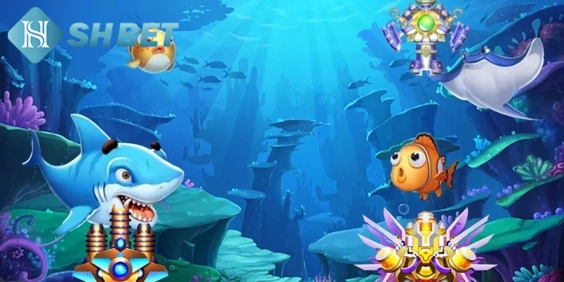 Chiến lược chơi vòng quay săn cá đạt hiệu quả cao