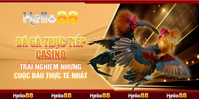 đá gà trực tiếp casino