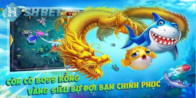 Những ưu điểm làm nên thương hiệu săn cá rồng vàng