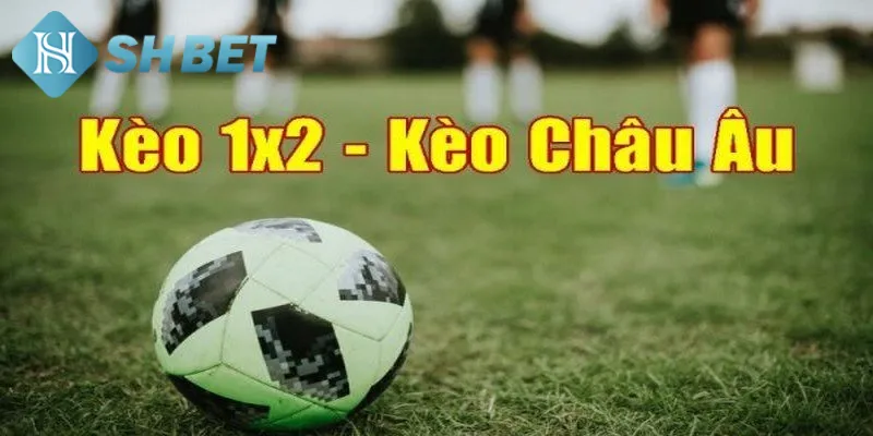 Khám phá thông tin toàn diện về kèo cược Châu Âu