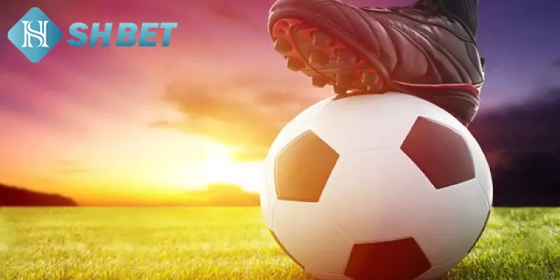 Bật mí bí quyết thắng kèo Châu Âu đạt hiệu quả cao