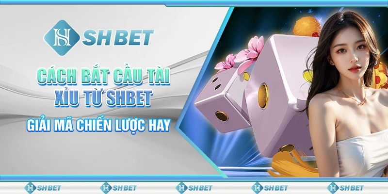 Cách Bắt Cầu Tài Xỉu Từ SHBET – Giải Mã Chiến Lược Hay