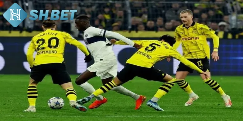 Chiến lược đặt cược Cúp C1 Châu Âu bất bại