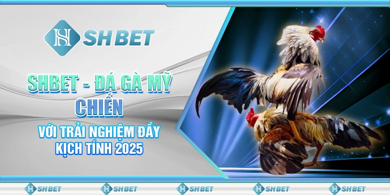 SHBET - Đá Gà Mỹ Chiến Với Trải Nghiệm Đầy Kịch Tính 2025
