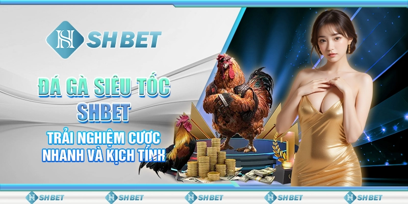 Đá Gà Siêu Tốc SHBET – Trải Nghiệm Cược Nhanh Và Kịch Tính