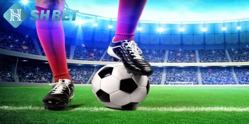 Các kiến thức cơ bản hội viên cần biết về kèo Ma Cao