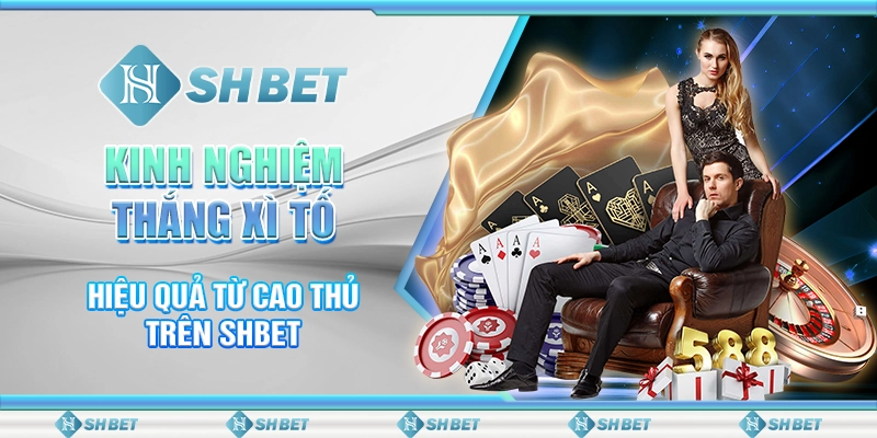 Kinh Nghiệm Thắng Xì Tố Hiệu Quả Từ Cao Thủ Trên SHBET