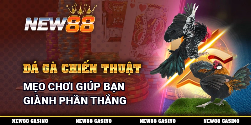 Đá Gà Chiến Thuật