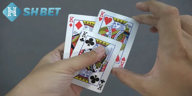 Một vài thông tin cơ bản hội viên cần biết về bài ba cây