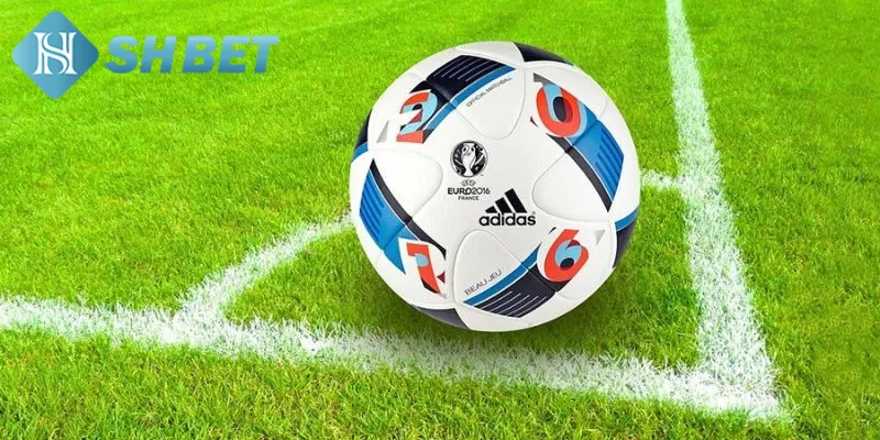 Giới thiệu đôi nét thông tin cơ bản về tỷ lệ kèo bóng đá