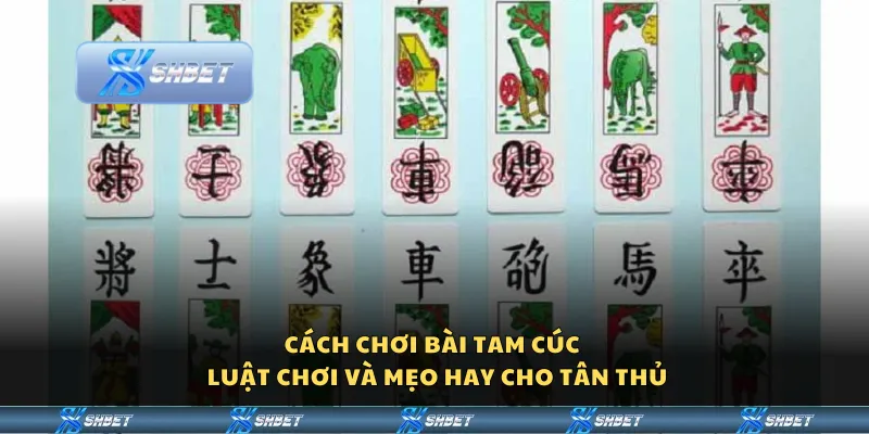 Cách chơi bài Tam Cúc - Luật chơi và mẹo hay cho tân thủ
