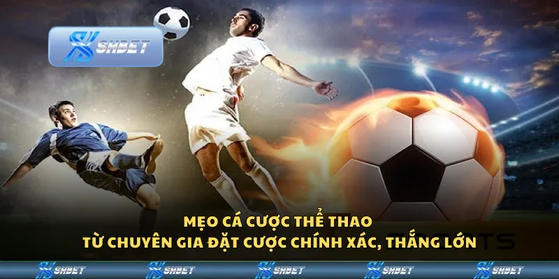Mẹo cá cược thể thao từ chuyên gia - Đặt cược chính xác, thắng lớn