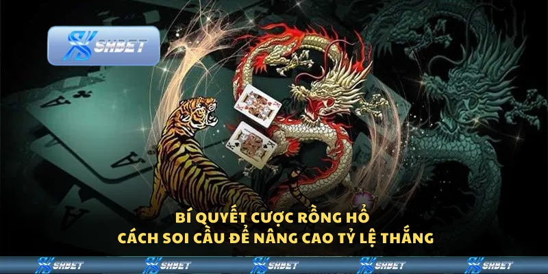 Bí quyết cược rồng hổ – Cách soi cầu để nâng cao tỷ lệ thắng