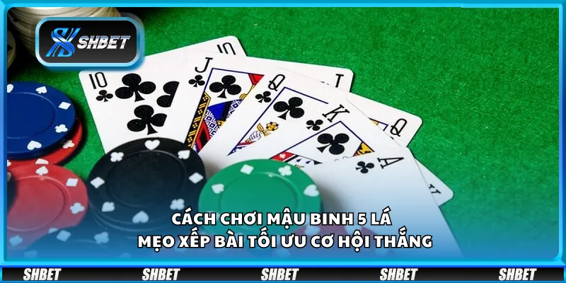 Cách chơi Mậu Binh 5 lá – Mẹo xếp bài tối ưu cơ hội thắng