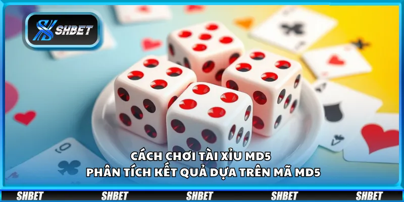 Cách chơi Tài Xỉu MD5 – Phân tích kết quả dựa trên mã MD5