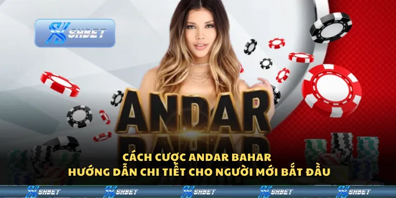 Cách cược Andar Bahar – Hướng dẫn chi tiết cho người mới bắt đầu