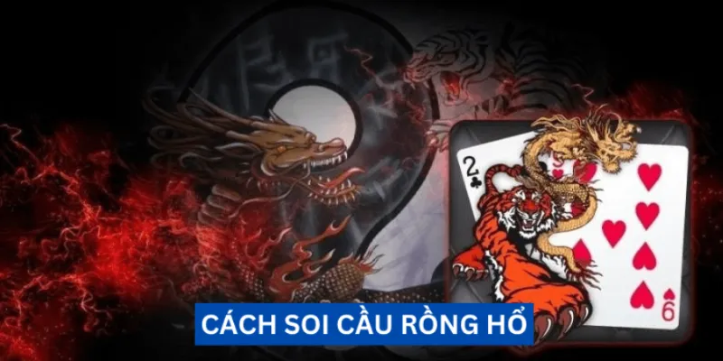 Các loại cược trong trò chơi Rồng Hổ