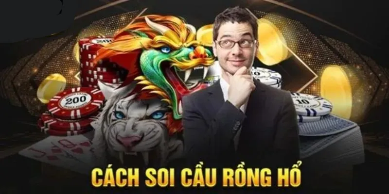 Cách soi cầu Rồng Hổ tối ưu tỷ lệ thắng khi tham gia cược