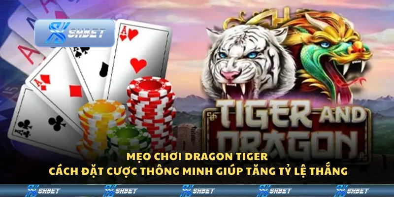 Mẹo chơi Dragon Tiger – Cách đặt cược thông minh giúp tăng tỷ lệ thắng