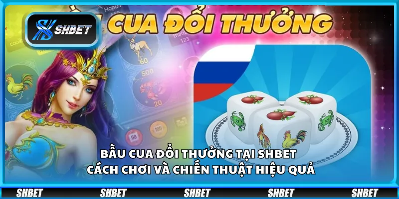 Bầu cua đổi thưởng tại Shbet – Cách chơi và chiến thuật hiệu quả