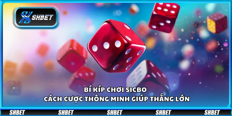 Bí kíp chơi Sicbo tại Shbet– Cách cược thông minh giúp thắng lớn