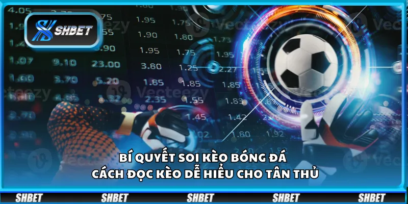 Bí quyết soi kèo bóng đá – Cách đọc kèo dễ hiểu cho tân thủ