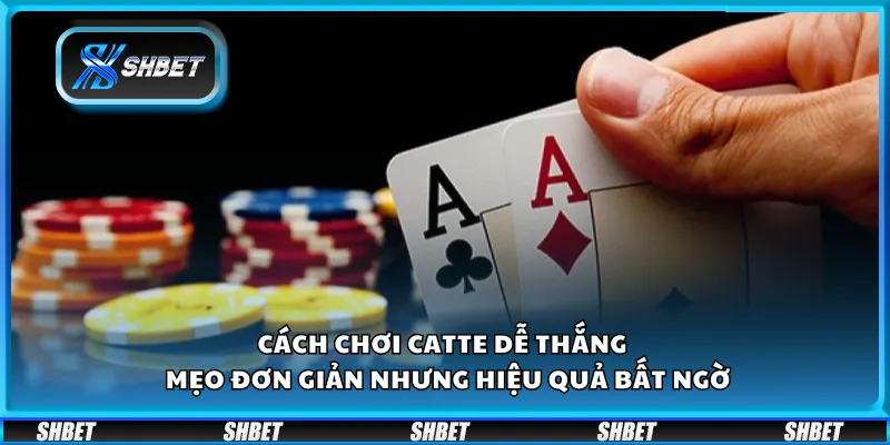 Cách chơi Catte dễ thắng – Mẹo đơn giản nhưng hiệu quả bất ngờ