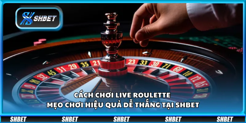 Cách chơi Live Roulette – Mẹo chơi hiệu quả dễ thắng tại Shbet