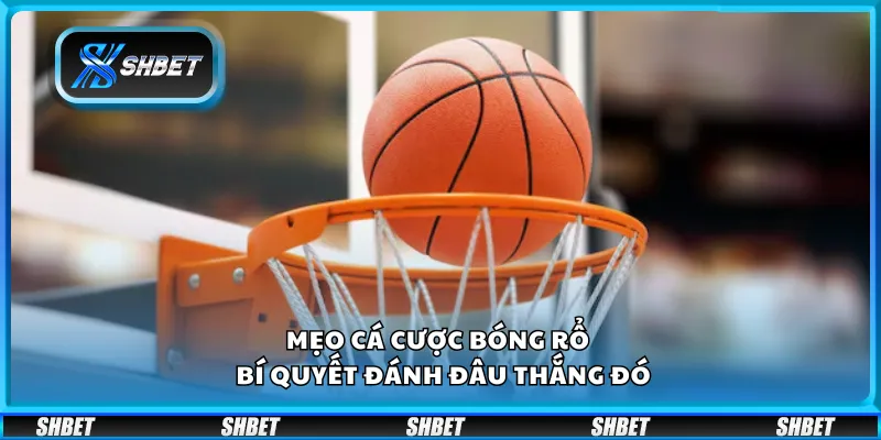 Mẹo cá cược bóng rổ – Bí quyết đánh đâu thắng đó