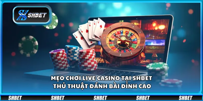 Mẹo chơi Live Casino tại Shbet – Thủ thuật đánh bài đỉnh cao