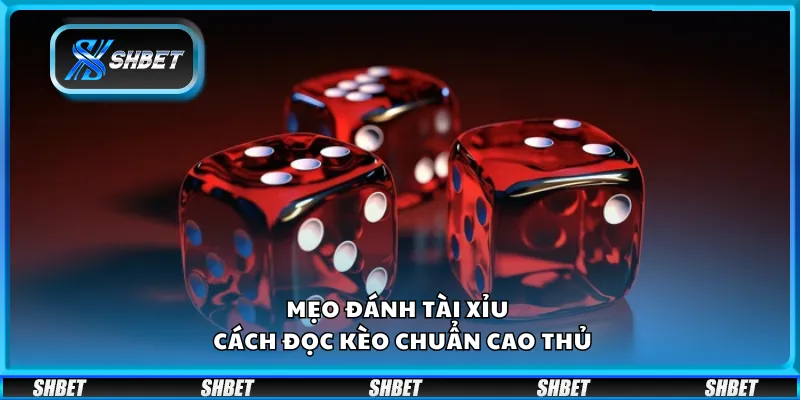 Mẹo đánh Tài Xỉu – Cách đọc kèo chuẩn cao thủ