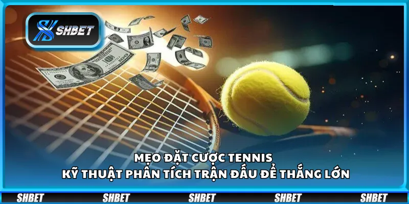 Mẹo đặt cược tennis – Kỹ thuật phân tích trận đấu để thắng lớn