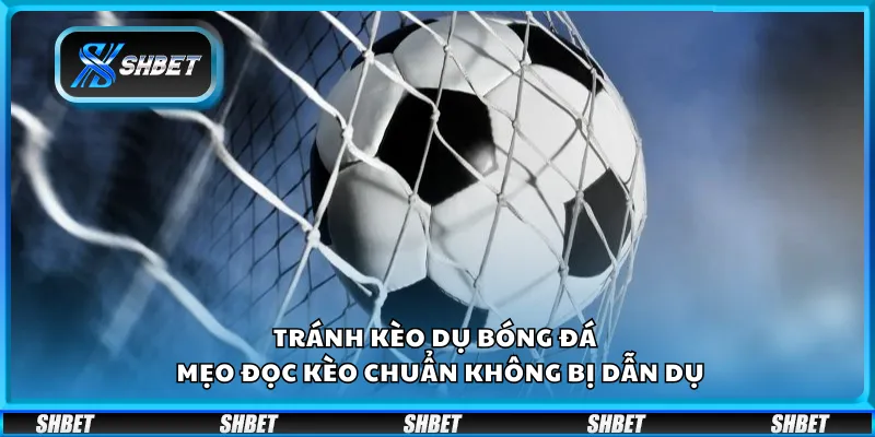 Tránh kèo dụ bóng đá – Mẹo đọc kèo chuẩn không bị dẫn dụ